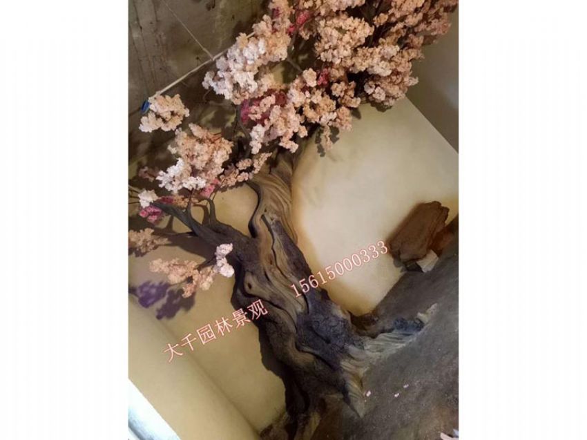 點擊查看詳細信息<br>標題：假樹 閱讀次數：2547